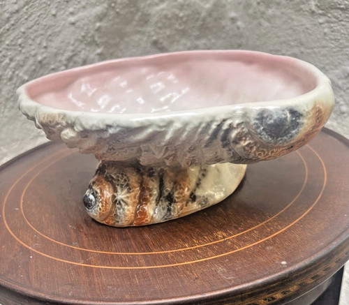 Seashell shell oyster dish - shell,