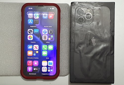 Apple iphone pro max - 13,