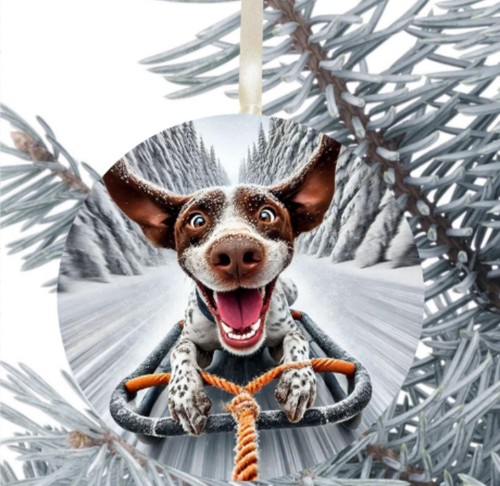 German short haired pointer - haired,