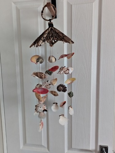 Pretty shell hanging ornament - shell,