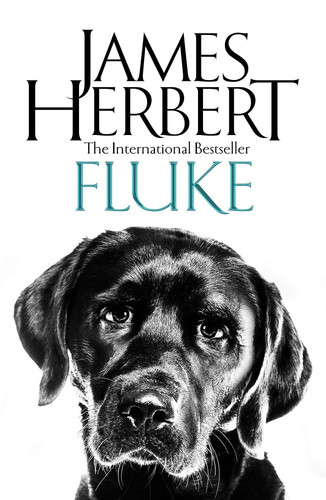 Fluke - fluke,