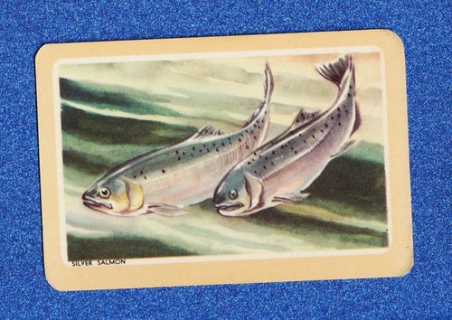 Vintage woolworths fish swap - fish,