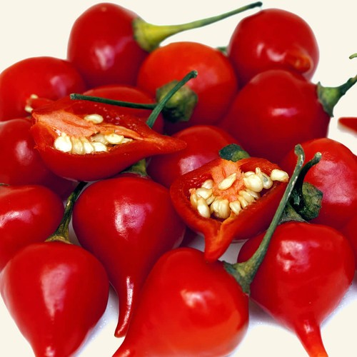 Red biquinho chilli - biquinho, crops