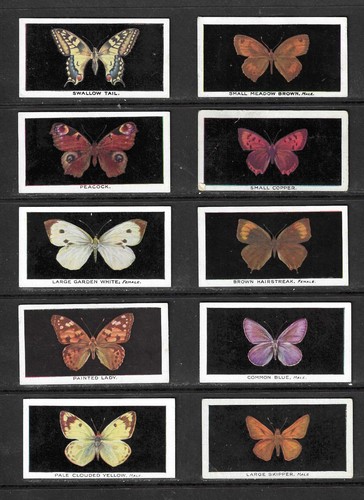 Phillips 1927 british - phillips,