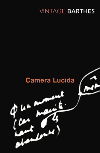 Camera lucida reflections - camera, on