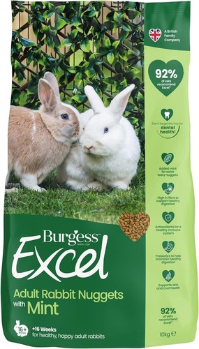 Burgess excel rabbit - excel, 10