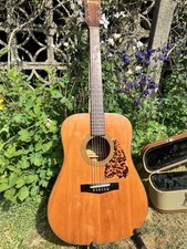 80s Solid Spruce Ibanez