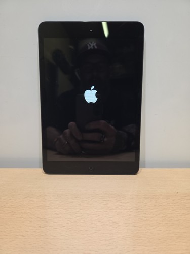 Apple ipad mini 1st - apple,