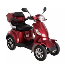 Electric Mobilit Scooter 1000W