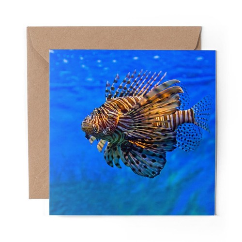 Blank greeting card - x,