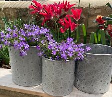 Zinc Metal Geometric Garden