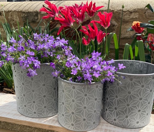 Zinc metal geometric garden - zinc,