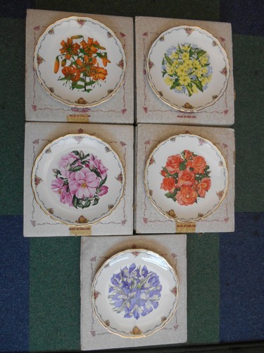 Choice royal albert - of, 5