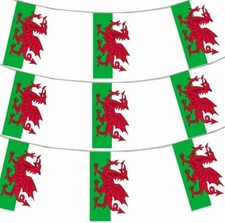 12 FT Welsh Flag Rectangular