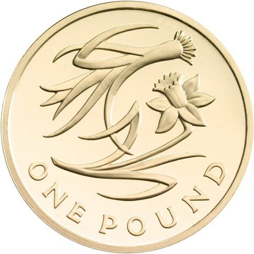 One pound coin bunc and - pound,