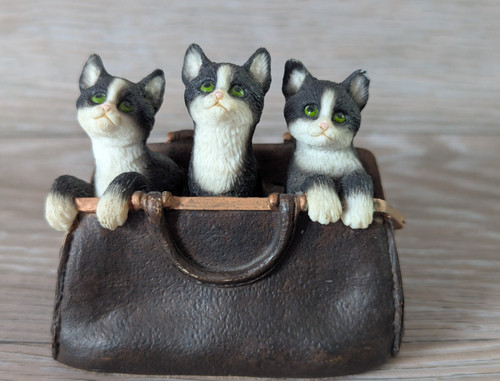 Cats bag leonardo - in, a