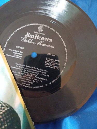 Rare flexi disc demo - rare,