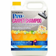 Carpet Shampoo Cleaning