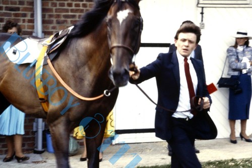 York races 1982 horse coming - york,