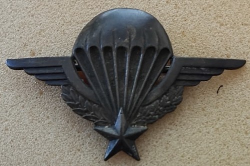 French indochina para - para, wings
