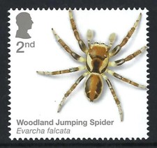Woodland Jumping Spider on 2024 stamp