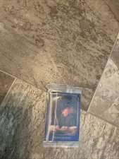 Harry Potter Chocolate Frog