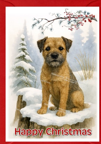 Border terrier dog x - terrier,