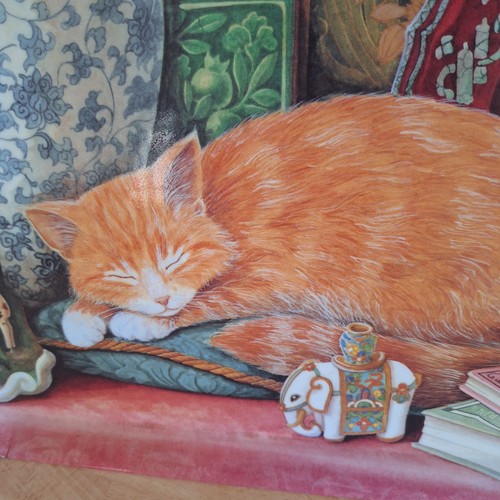 Ginger cat wilscombe serving - ginger,