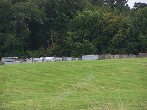 Photo 6x4 pheasant rearing - photo,