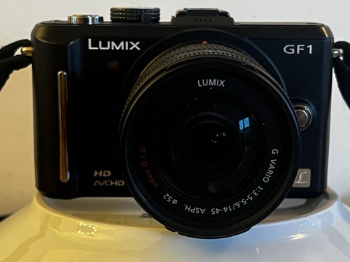 Panasonic lumix dmc gf1 - panasonic,