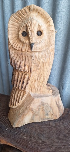 Chainsaw carving owl - chainsaw, wood