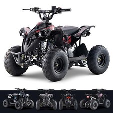 110cc Petrol Mini Quad Bike 4