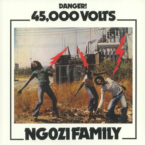 Ngozi family 000 volts - ngozi, 45,000