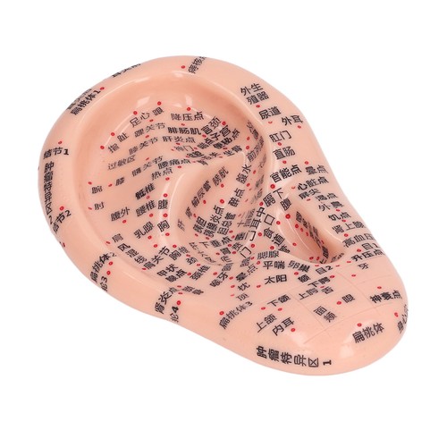 7in ear acupuncture - 6.7in,