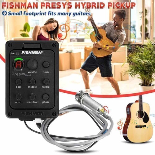 Fishman band 301 - fishman, 4