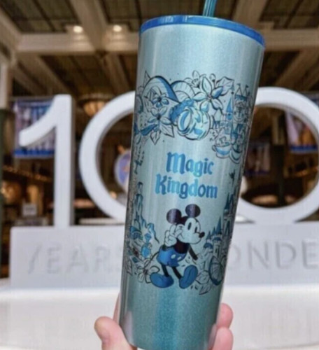 Disney parks magic kingdom - disney,