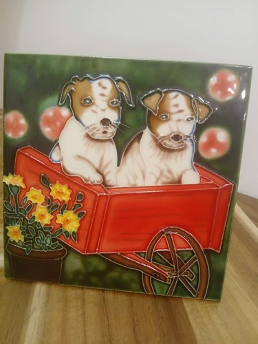 Pair jack russell - ,