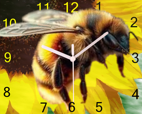 Bee wall hanging clock - bee,