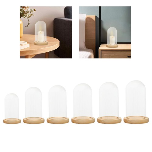 Decorative glass dome cloche - decorative,