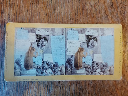 1870 antique stereoview - antique,