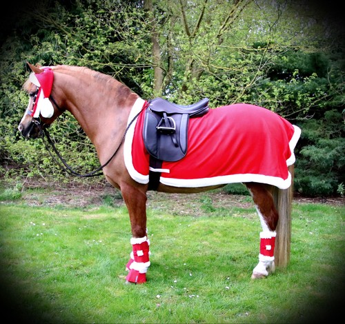 Santa horse pony christmas - santa,