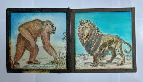 Hand drawn lion anthropoid - 2x,