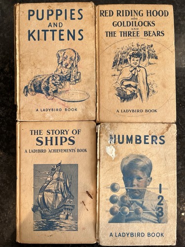 Ladybird illus picture - 4,