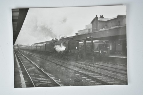 Steam train 60139 sea eagle - train,