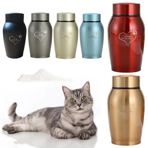 Stainless steel dog - steel, cat