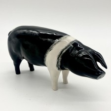 Beswick Wessex Saddleback Boar