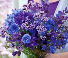 Special Mix of summer flowers