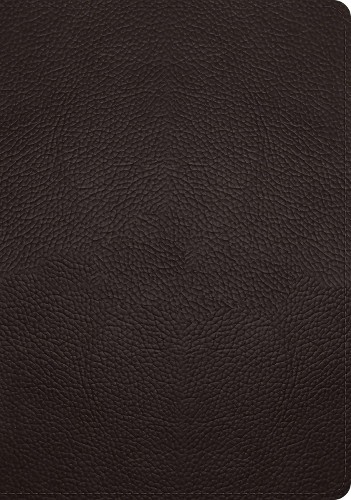 Esv study bible - esv,
