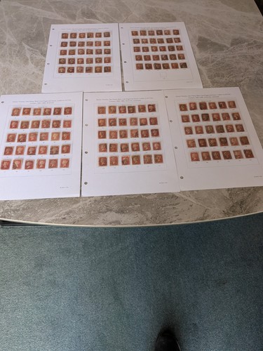 Penny red plates full - plates,