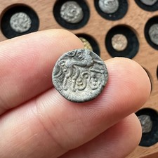 Iceni Phallic Boar Celtic